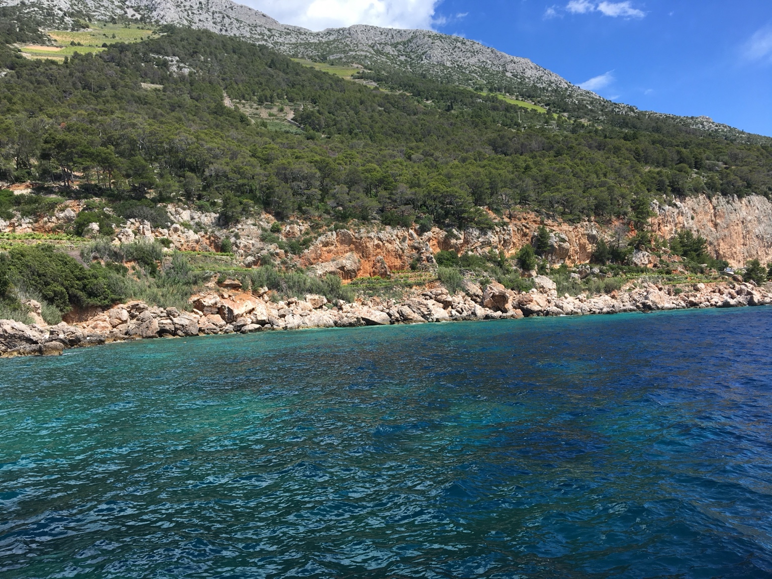 Turquoise Adriatic coast
