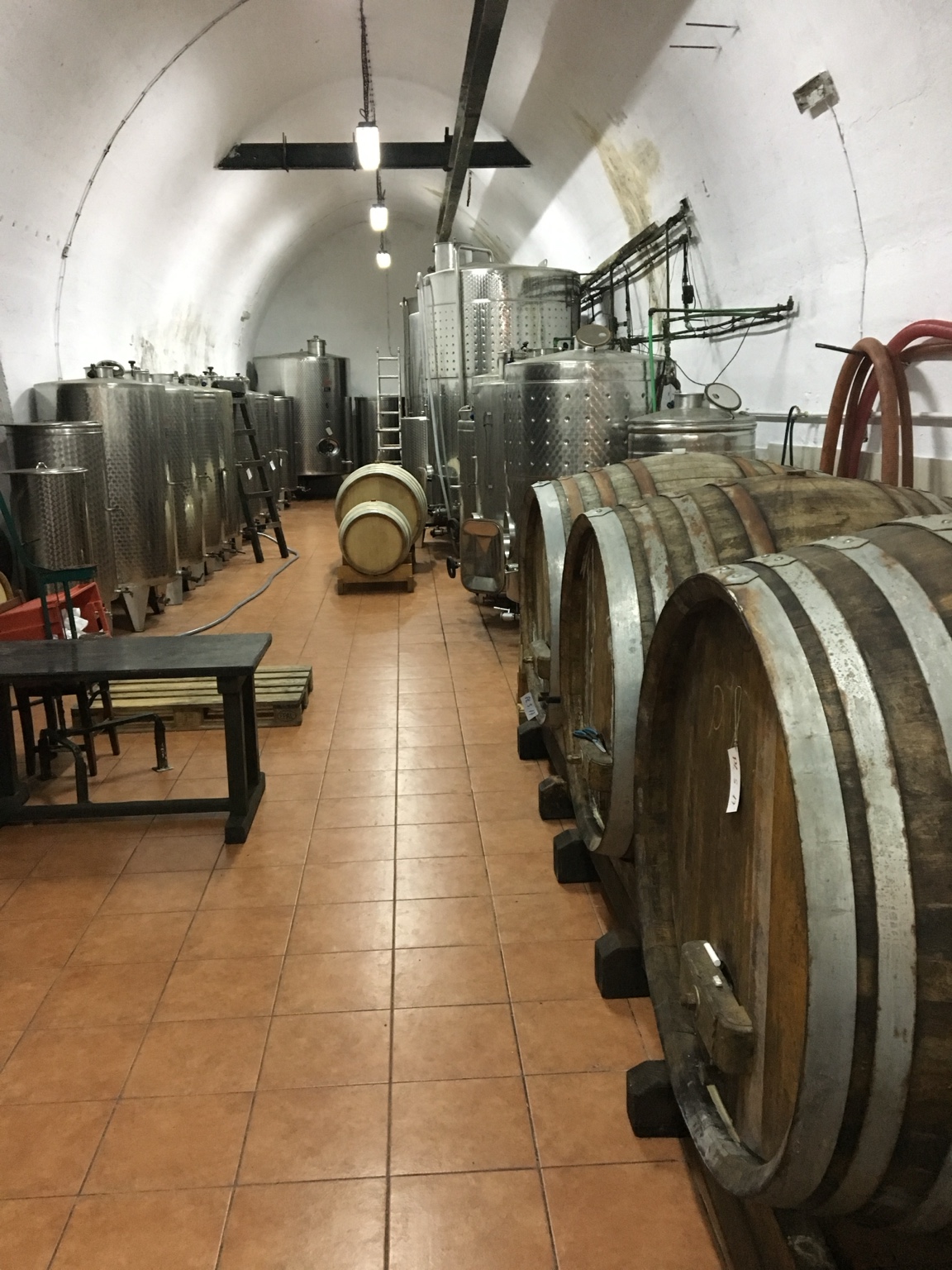 Croatian wine cellar
